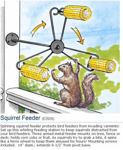 harriet-carter-squirrel-feeder
