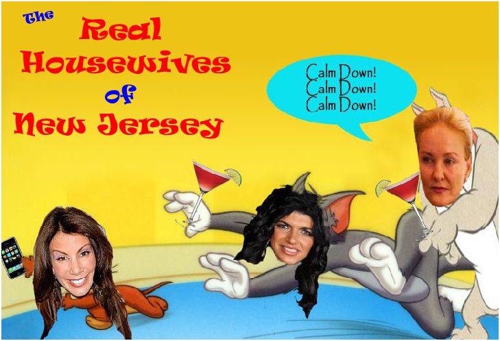real-housewives-new-jersey-teresa-danielle-fight2