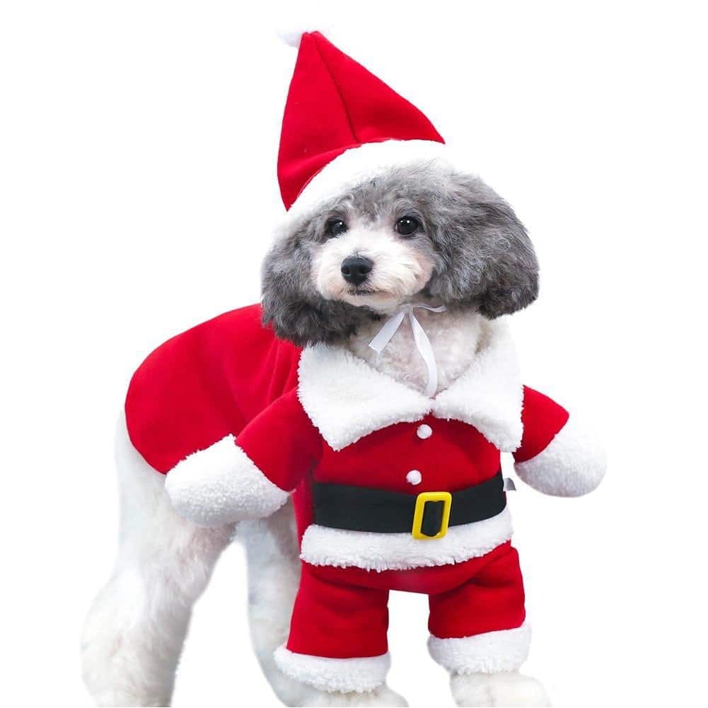 Best Dog Christmas Sweater 2017: Walking Santa Outfit for Dogs 2018