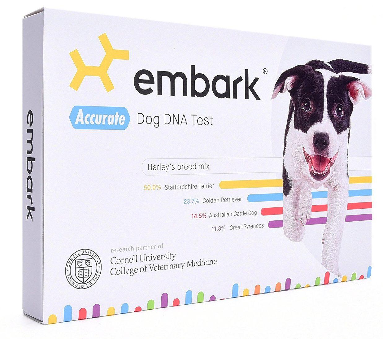 Gift Ideas For Husband 2022: Embark Dog DNA Kit 2022