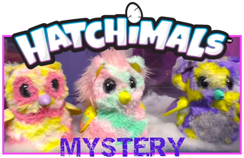 Where to Get New Hatchimals Mystery 2018 - 2022 Pre Order