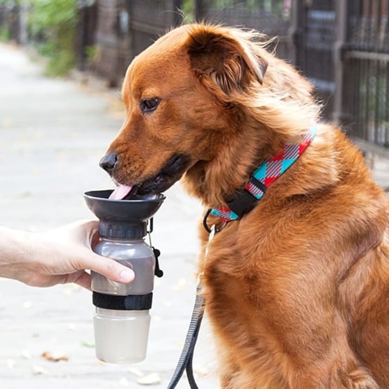 Best Pet Gifts 2018: Dog Water Bottle Bowl 2022