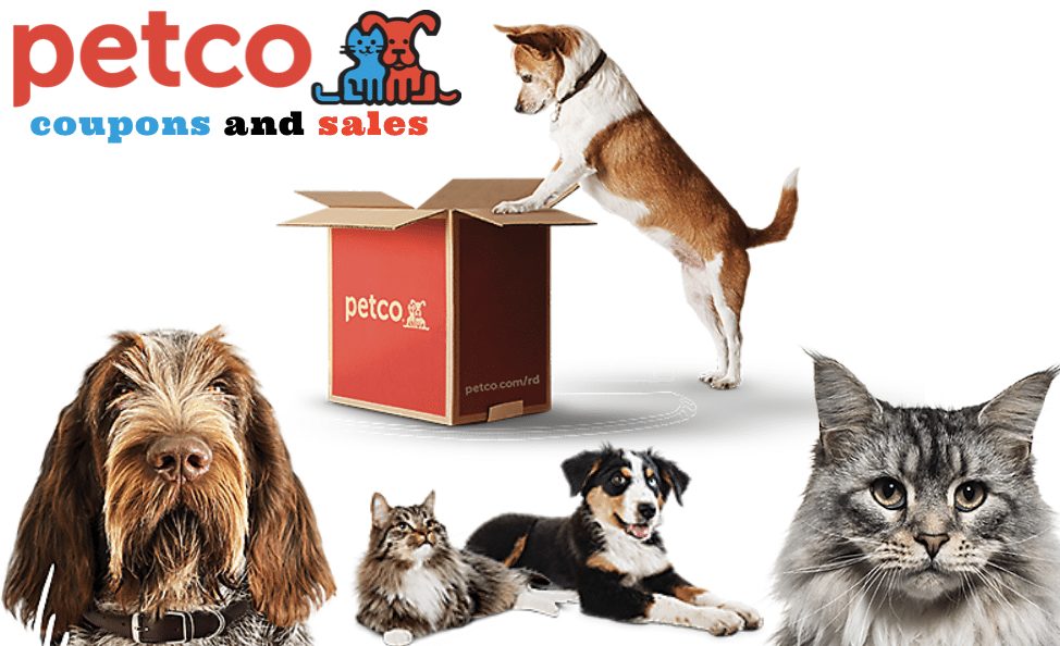 20 Off Petco Promo Code In July 2020 Coupon Sale Discounts
