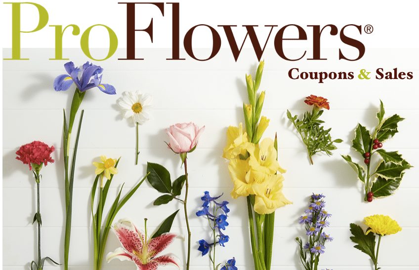 40 Off Proflowers Promo Code November 2020 Coupon Sales At Pro Flowers