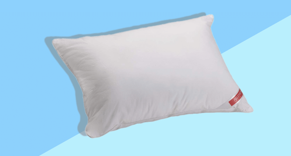 Best Bedding Pillows 2022: Allerease Allergy Pillow