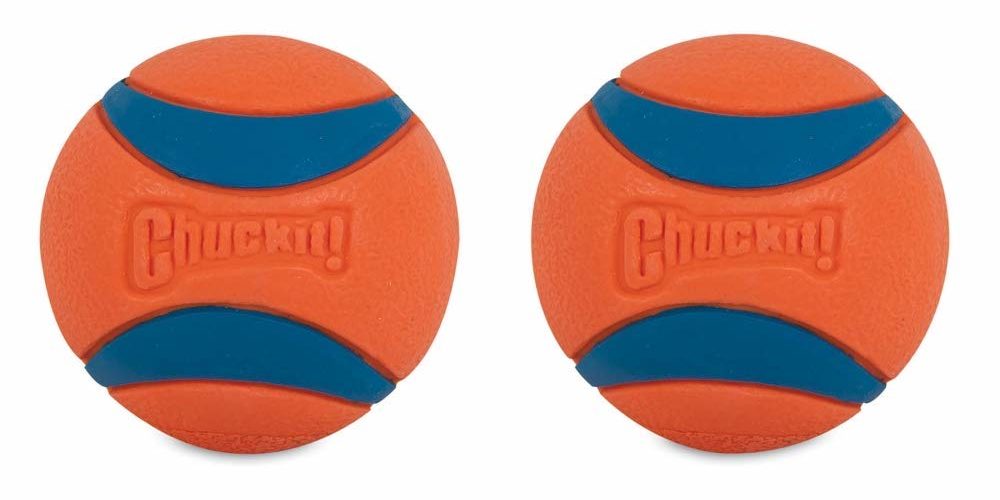 Best Dog Toys 2022: Chuckit Balls