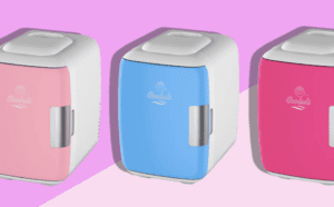 Best Makeup Fridge 2022 - Skincare & Beauty Mini Compact Refrigerators