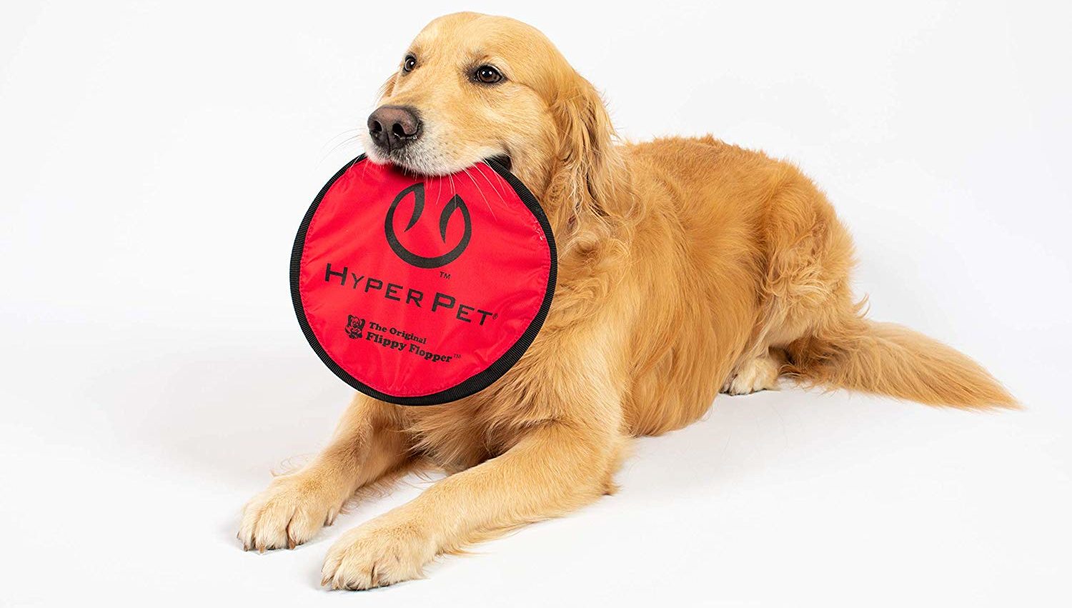Best Dog Toys 2022: Hyper Flippy Frisbee
