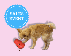 Best Dog Deals on Memorial Day 2022!! - Sale on Dog Food, Treats, Beds, Toys, Health Supplies 2022