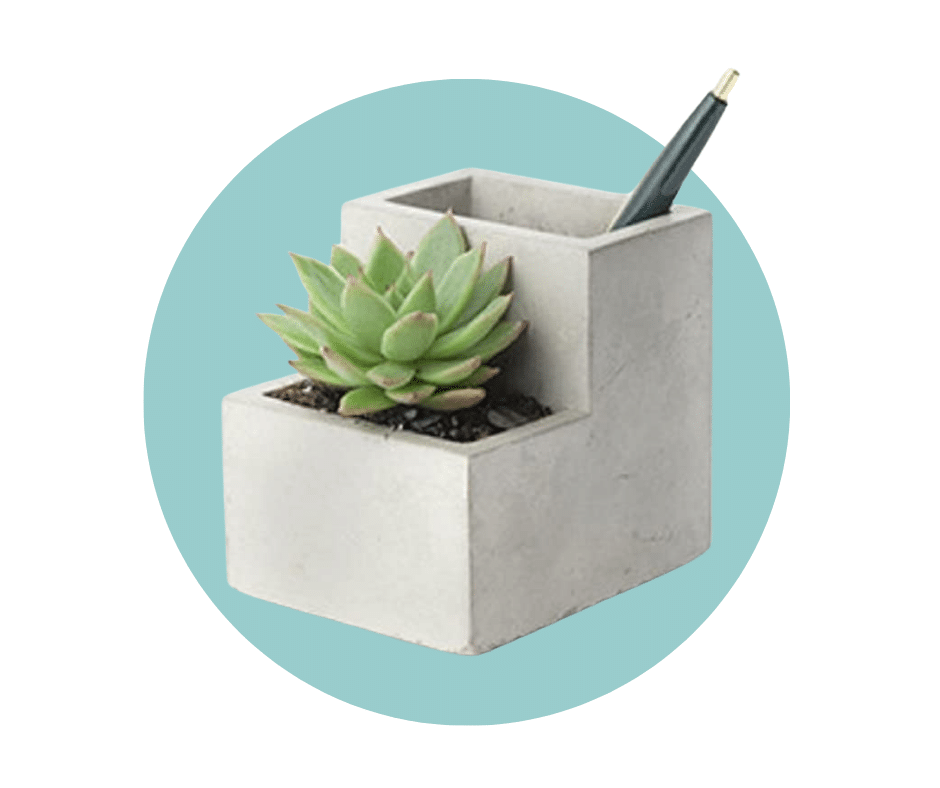 Desk Plant + Pens Holder
