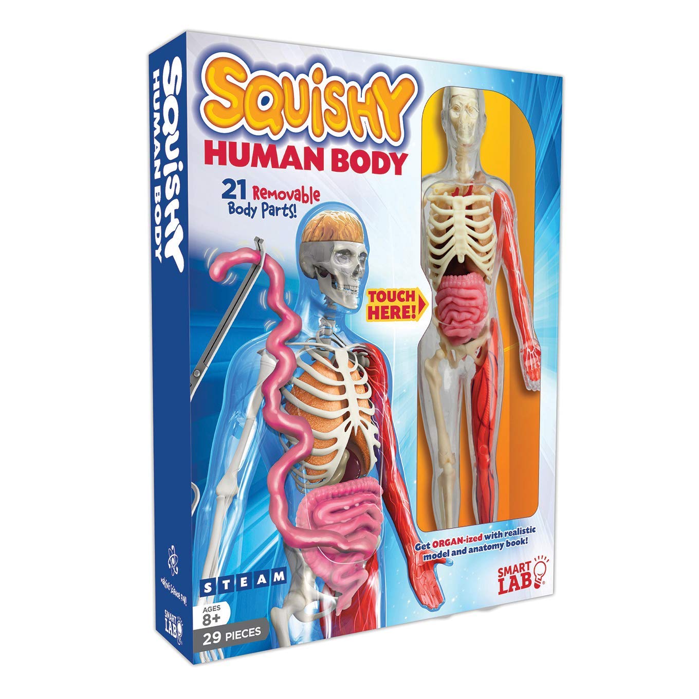 Best STEM Toys 2022: Smartlab Squishy Human Body 2022