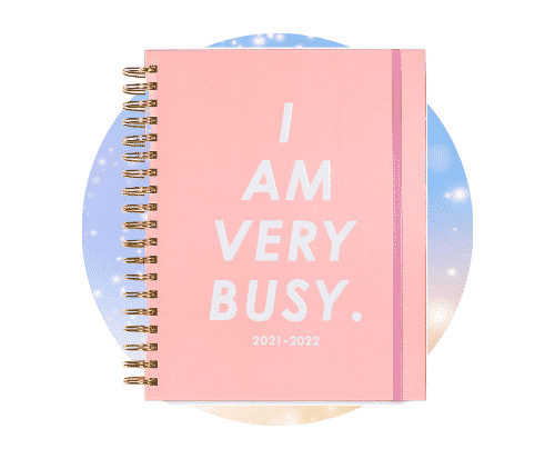 2022 I Am Very Busy Daily Planner