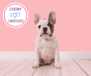 CHEWY PROMO CODES 2022